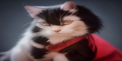 乐鱼体育竞猜互动界面，展示赛事竞猜选项与实时赔率变化曲线，用户参与度高